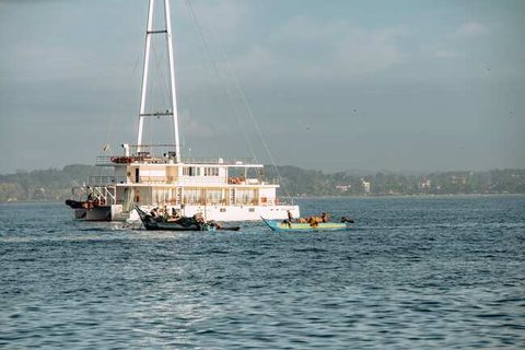 A whale watching cruise off Mirissa