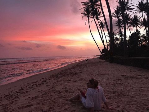 Palms silhouetted against a pink sunset on the beach